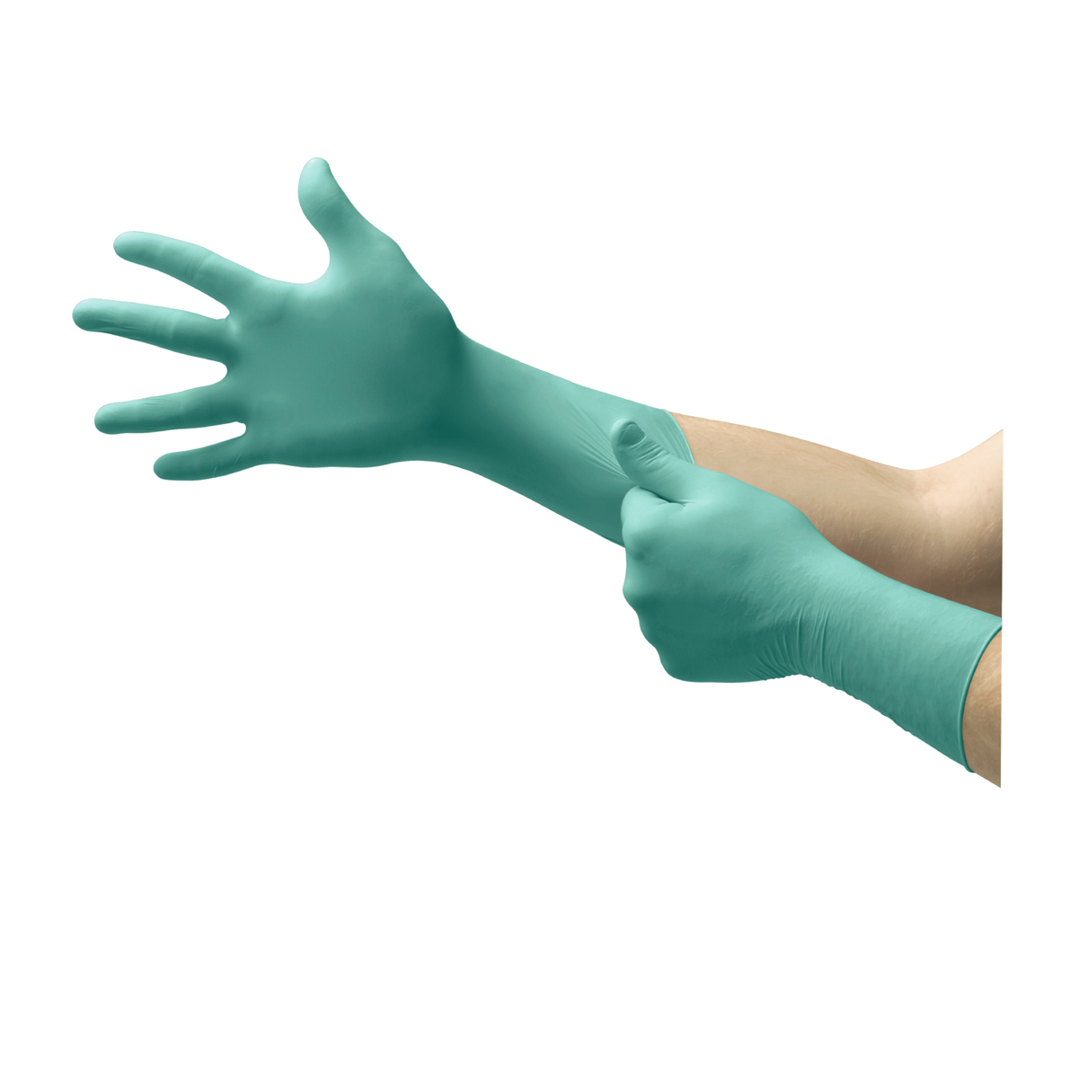 Ansell Small Green NeoTouch® 5 mil Neoprene Disposable Gloves (Availability restrictions apply.)