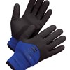 Honeywell Black And Blue NorthFlexCold Grip Nylon And HONNF11HD/11XXL for sale online at autumn supply