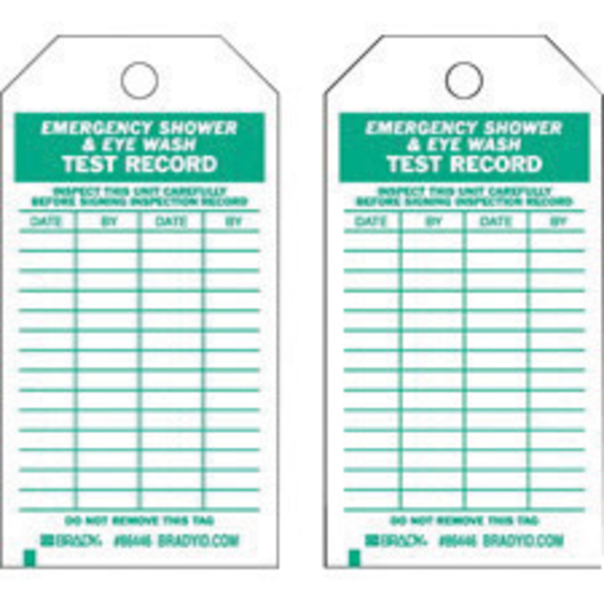 Brady 5 34 X 3 Green Polyester Tag INSPECT THIS UNIT BRD86446 for sale online at autumn supply